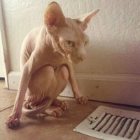 Какой красавчик, что Вы делаете вечером?