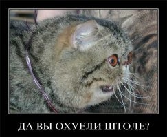 От замены афиш до увольнения: история «Ревизора» в Сызрани