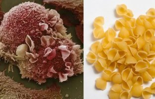 Как я понял ракушки хавать опасно???