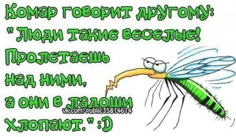 Воришка сдался полицейским из-за злых комаров