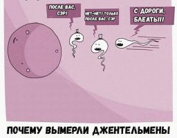 Смешные комментарии из соц.сетей