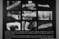 Было однажды в новейшей истории