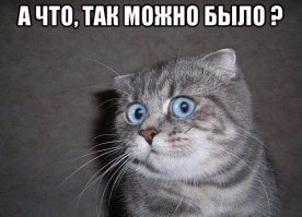 А что, так можно было? ........... и тд и тп