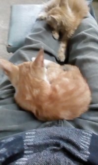 Я на работе.