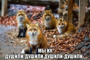 Полиция Лондона разгадала дело о кройдонском котоубийце