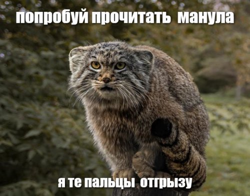 Может все таки МАНУАЛ