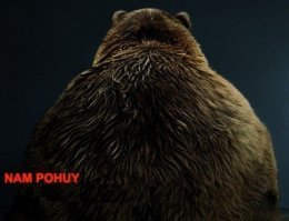 Волгоград летом!