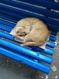 Добавлю ещё парочку.