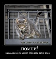 Котейка на охоте