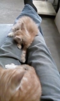 Ну простите, не удержался...  Я на работе.