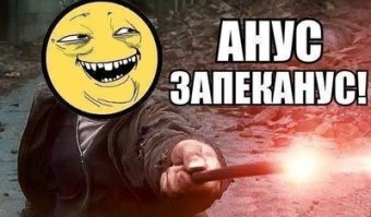 20 доказательств того, что у котов действительно девять жизней