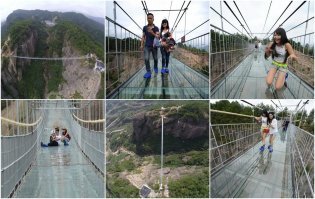 Биомусор в Зарядье