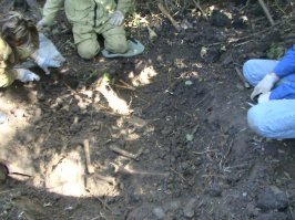 Все что осталось. Обратите внимание как расбросаны кости хаотично, рядом воронка шесть шагов в длину