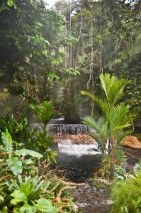 Очень странно, что в этой подборке нет жемчужины Коста-Рики, SPA отеля Табакон, расположенного на горячей, полноводной реке нагревающейся от действующего вулкана Ареналь. Это SPA парк, с природными ваннами и водопадами, разной глубины и температуры. Сам парк похож на огромный лабиринт из переходов, мостиков и термальных ванн. Мне довелось там побывать однажды и это впечатление на всю жизнь. Очень хочетя туда вернуться вновь.
