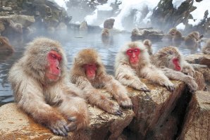 Лучшие бани мира