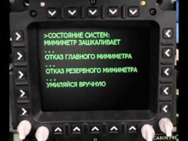 Мама-землеройка вывела своё семейство на прогулку