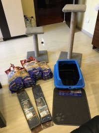 К встрече мехового друга готов! Приезжает с дачи, будем встречать.