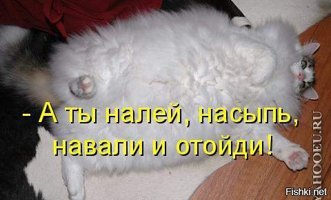Лопнешь деточка картинка
