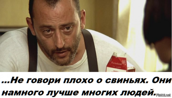 25 совершенно безумных фото, которыми никого не удивишь в России