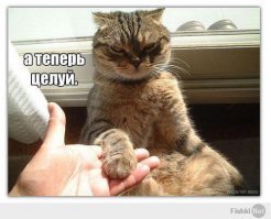 Мотивируй!
Унижай и властвуй?
 :)