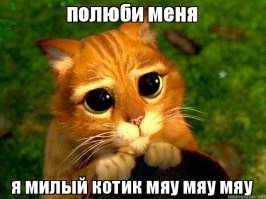 Ну гады они? Мимимми