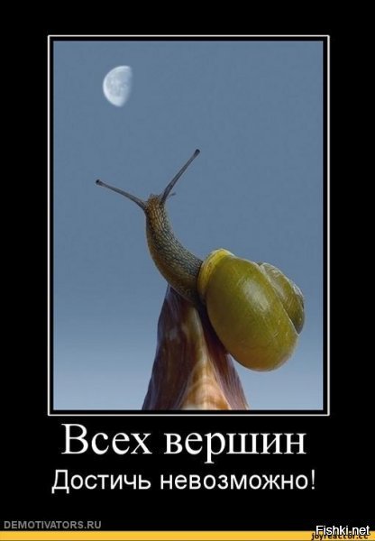 Сирийцы должны заплатить