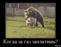 25 совершенно безумных фото, которыми никого не удивишь в России