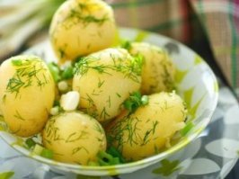 Сельдевая акула...