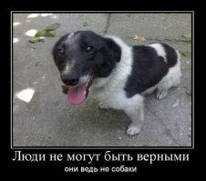 Неподдельные эмоции собаки, брошенной, но спасенной после наводнения