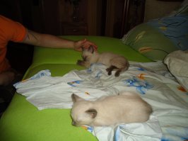 почти 8 лет прошло.