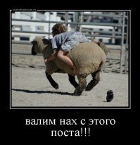 я хер че понял в этом посте