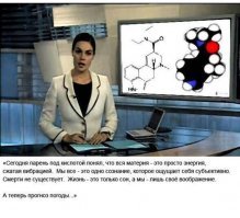 Ученые накормили осьминогов «экстази», чтобы исследовать их поведение