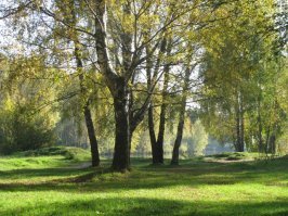 оч суперские фотки!!! ажно засмотрелся)))
ну  от себя...