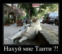 25+ колоритных фотографий о том, как выглядел Нью-Йорк и его жители в 1980-х