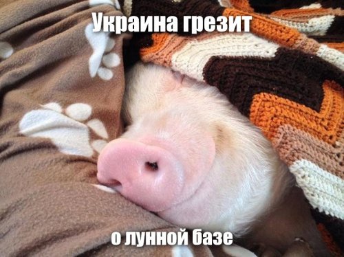 На грани фантастики. Украина грезит о строительстве лунной базы