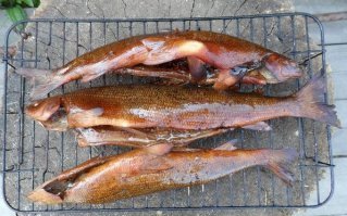 если на природе, то обычно делаю в коптильне.. тоже вкусно!)