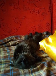 Картинки с надписями для настроения