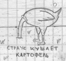 Опровержение массовых заблуждений