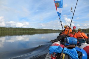 на обычных)