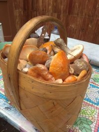 Лето в Якутии нынче выдалось грибное, каждый охотник с утра докладывал на работе,какие набрал, сколько ведер , так много что некуда складывать)Наступило бабье лето, прекрасная золотая осень.. Вечером с мужем откроем баночку соленых груздей под рюмочку и наслаждаемся)