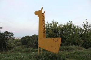 А лестница куда?