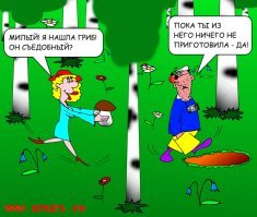 Суп из лесных грибов