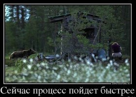 Что нужно делать, чтобы пережить нападение медведя