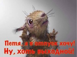 А в чем вы видите перекос?Или вы алкаш уже к 18ти летию?Или вы считаете что лучше пьяным быть чем отслужить?И да,по поводу Лаврова.