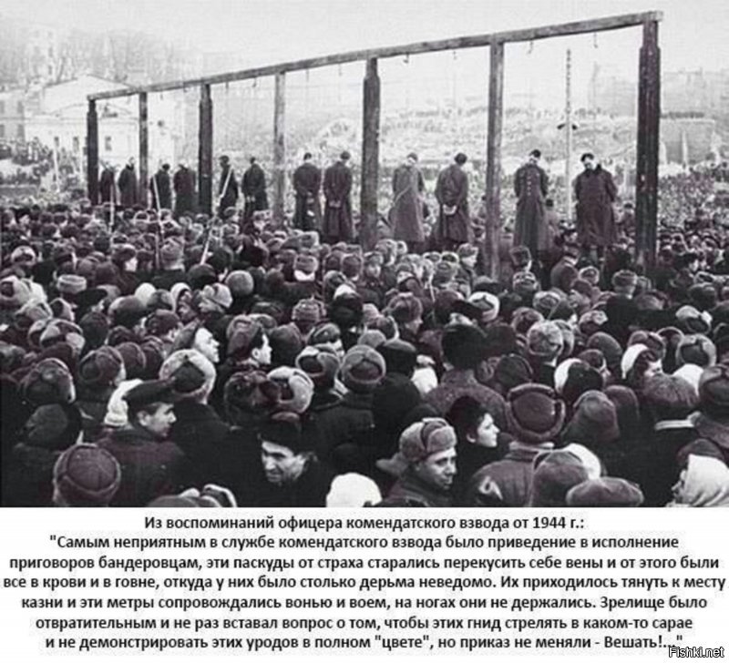 ....немного о бандеровцах