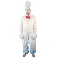 Чтобы походить на зайчика, собака не нужна, нужен хороший костюм))) В хорошем костюме Вы будете отлично походить на зайчика)))