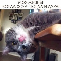 Женское коварство не знает границ