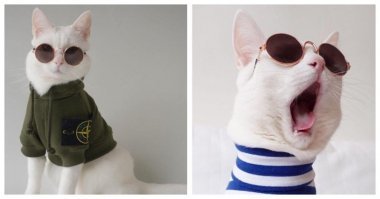 напомнило:)