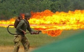 Укусит или не укусит? Когда надо бояться собаки