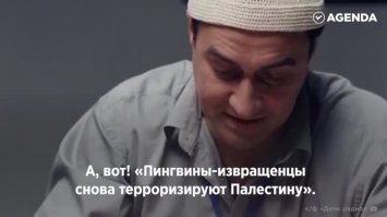 Пингвины-гомосексуалисты похитили у сородичей детеныша, когда его родители отвлеклись